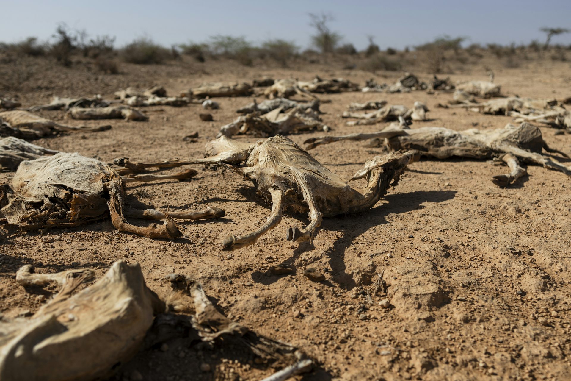 Climate change could expose 1.1 billion people to hunger by 2100 (but there’s good news too) – AI modelling study