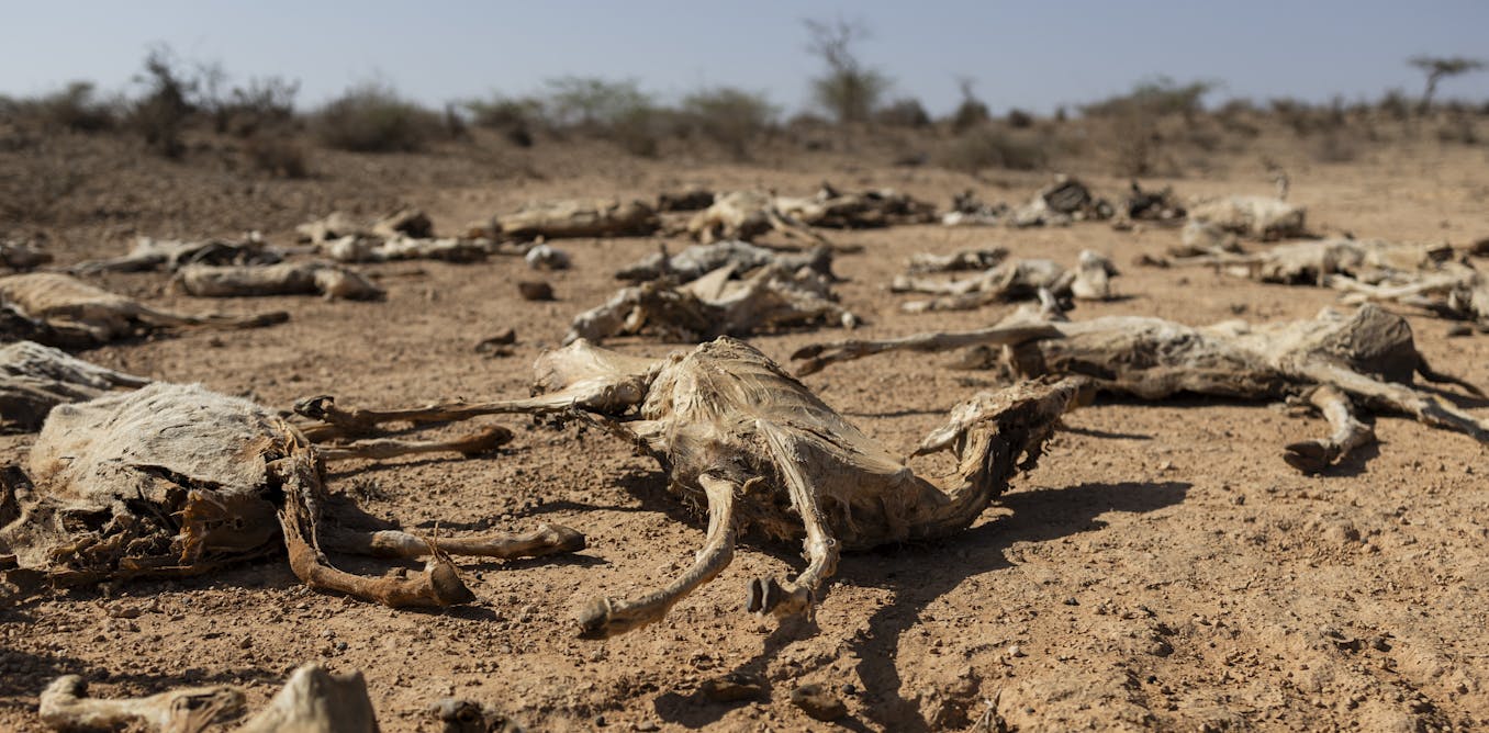 Climate Change Drives Over One Billion Food Crises