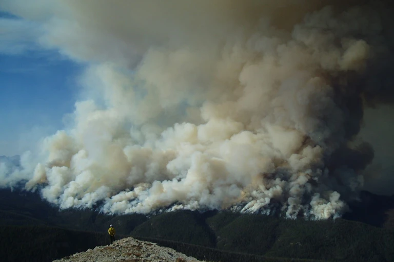 Smoke billows above a forested hillside.