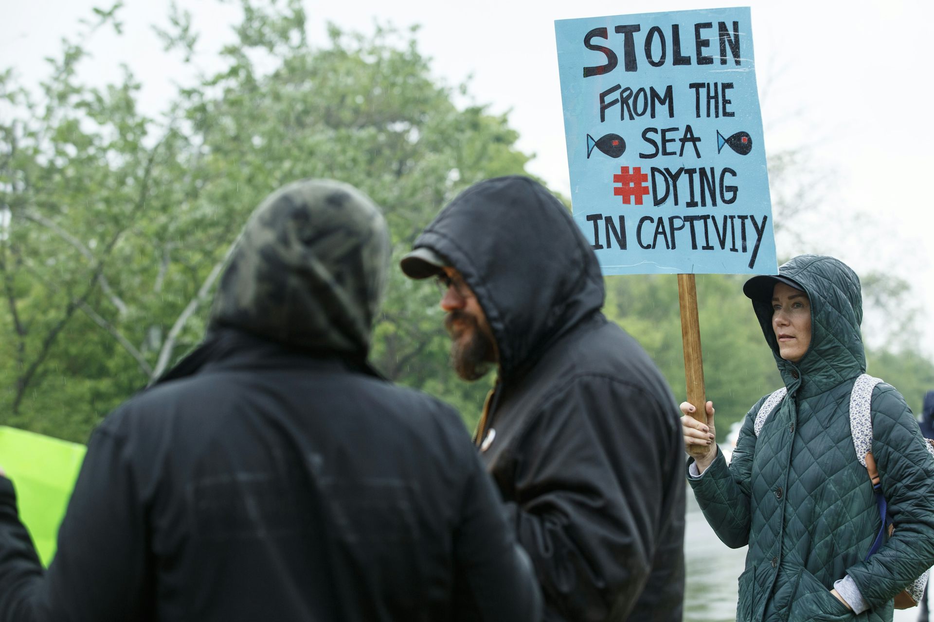 Una persona en la protesta lleva un cartel: robado del mar, muere en cautiverio.