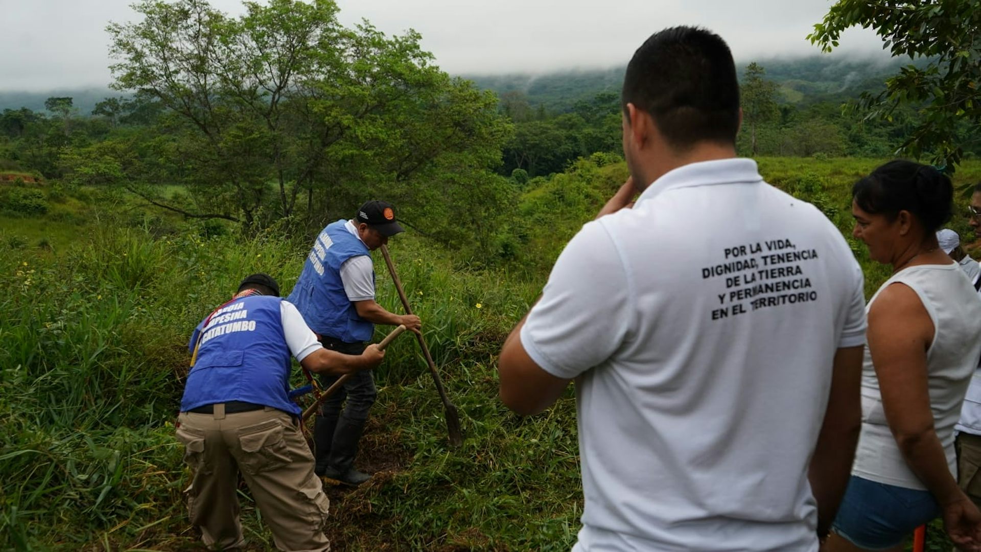 Members of a Colombian association working in a field.