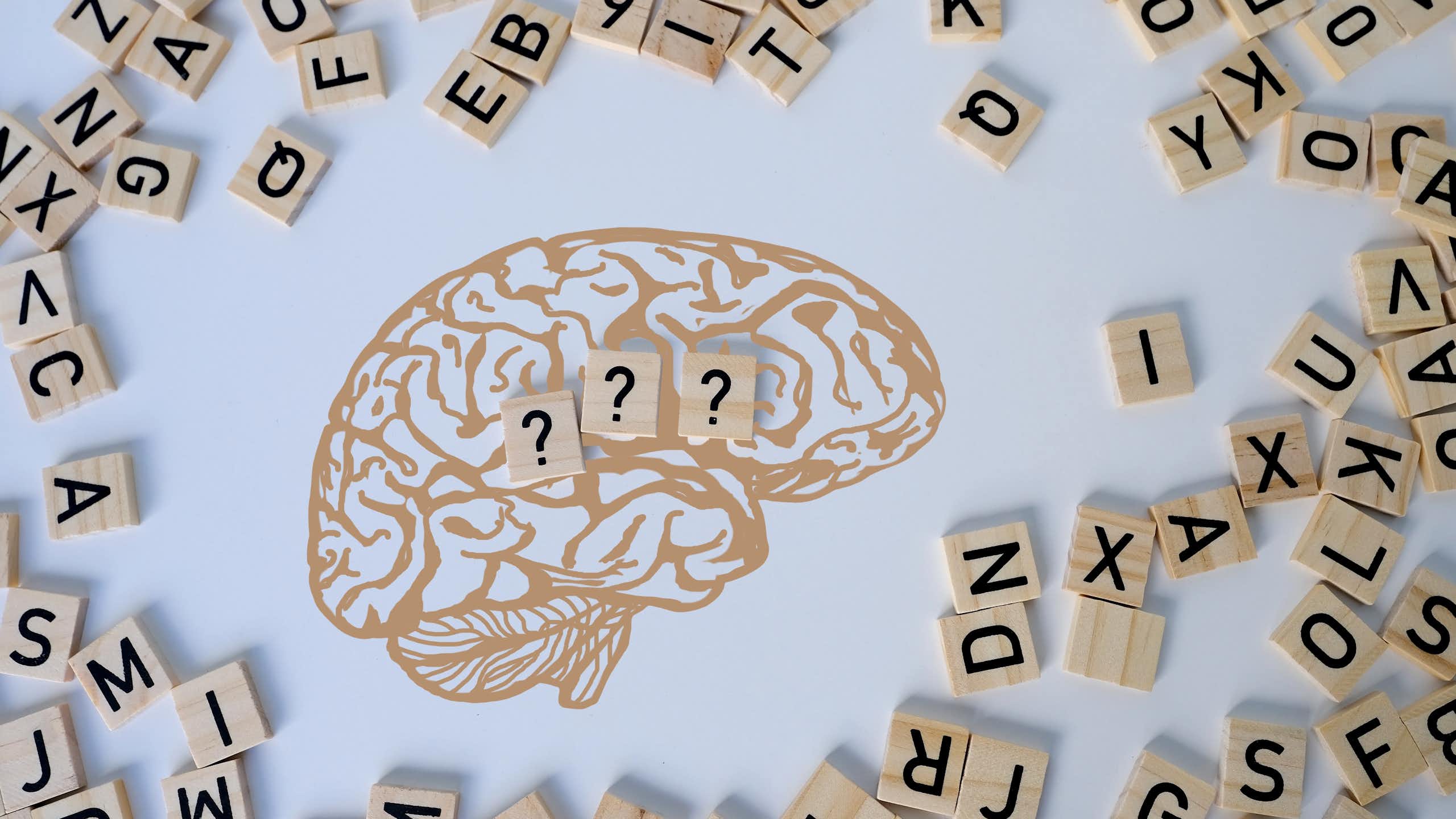 Dibujo de un cerebro con fichas letras a su alrededor y en su interior interrogaciones
