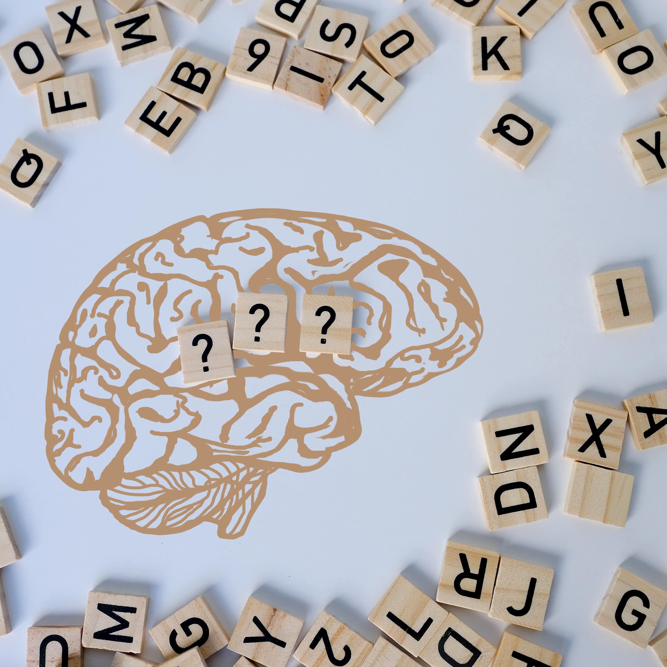 Dibujo de un cerebro con fichas letras a su alrededor y en su interior interrogaciones