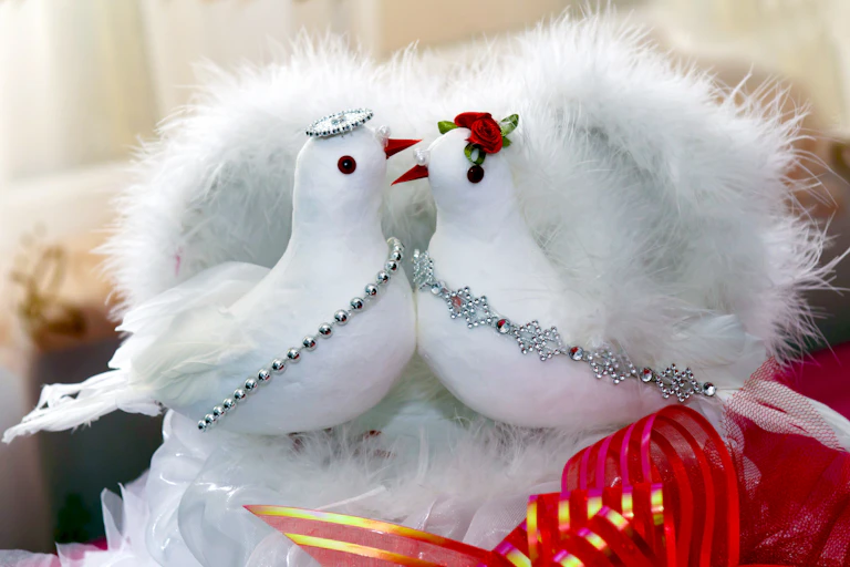 Two imitation fluffy white turtle doves