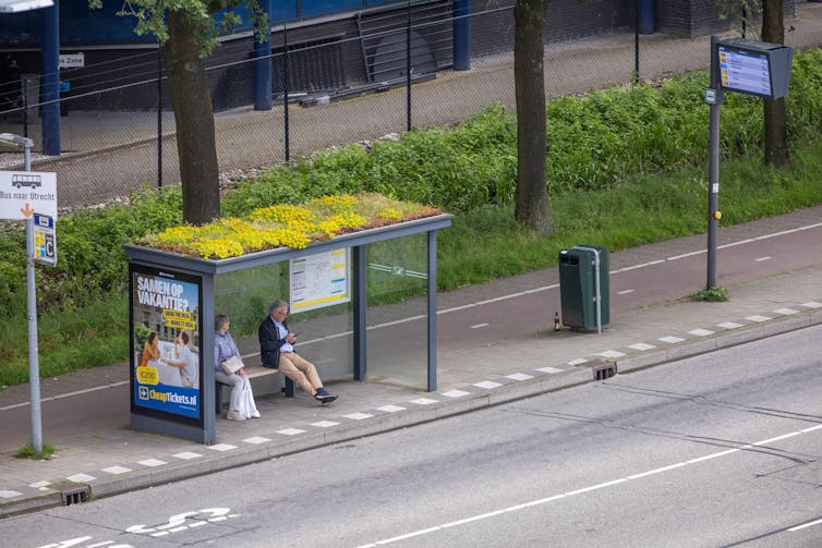 planted green roof on bus stop by roadside, two people sitting under shelter
