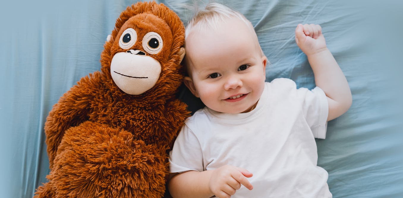 why don’t humans have tails? why don’t humans have tails?