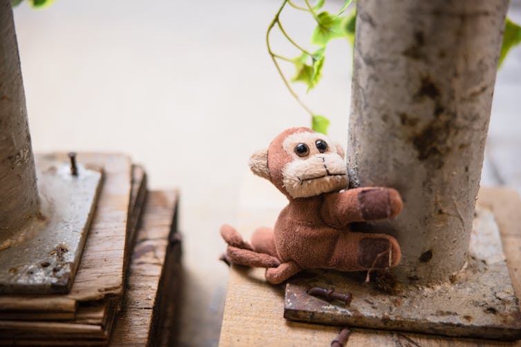Monkey toy climbing a pillar.
