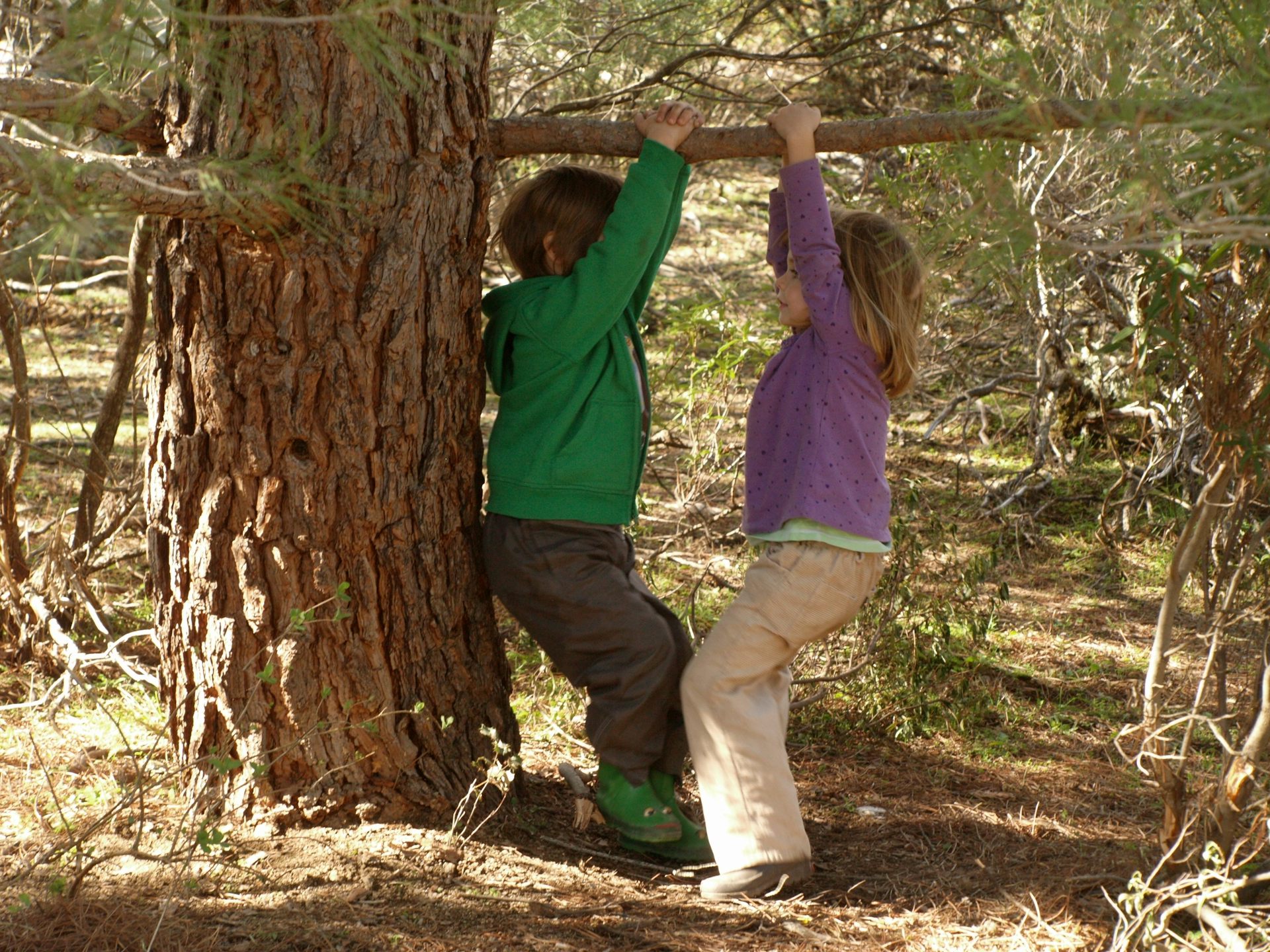 file 20260211 56 5n7z3m.JPG?ixlib=rb 4.1