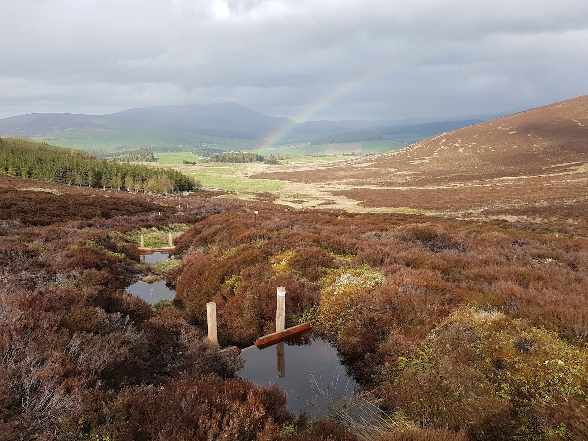 Why coping with heavy rain in Scotland’s whisky country shows how to save water for the summer