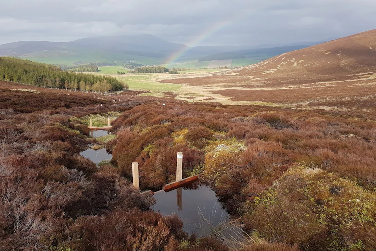 Leaky wooden dams holding back small pools of water in a heather-covered moorland valley, with forested slopes, distant hills, and a faint rainbow under a cloudy sky in the headwaters of the River Livet.