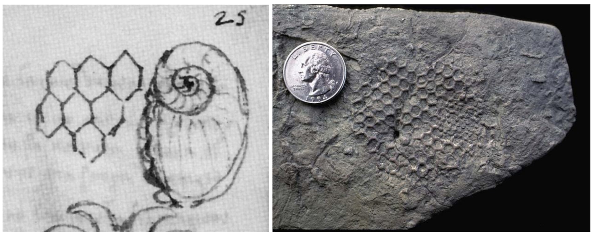 file 20260212 56 mgfwq9.jpg?ixlib=rb 4.1