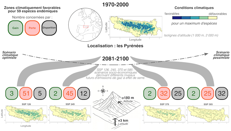 Endemic plants of the Pyrenees: in opposition to the danger of mass decline by means of the top of the century 3 file 20260212 56 6a5o4t.png?ixlib=rb 4.1