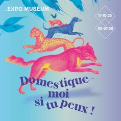 Purebred canine: can aesthetics justify struggling? 3 file 20260212 56 kqkhq0.jpeg?ixlib=rb 4.1