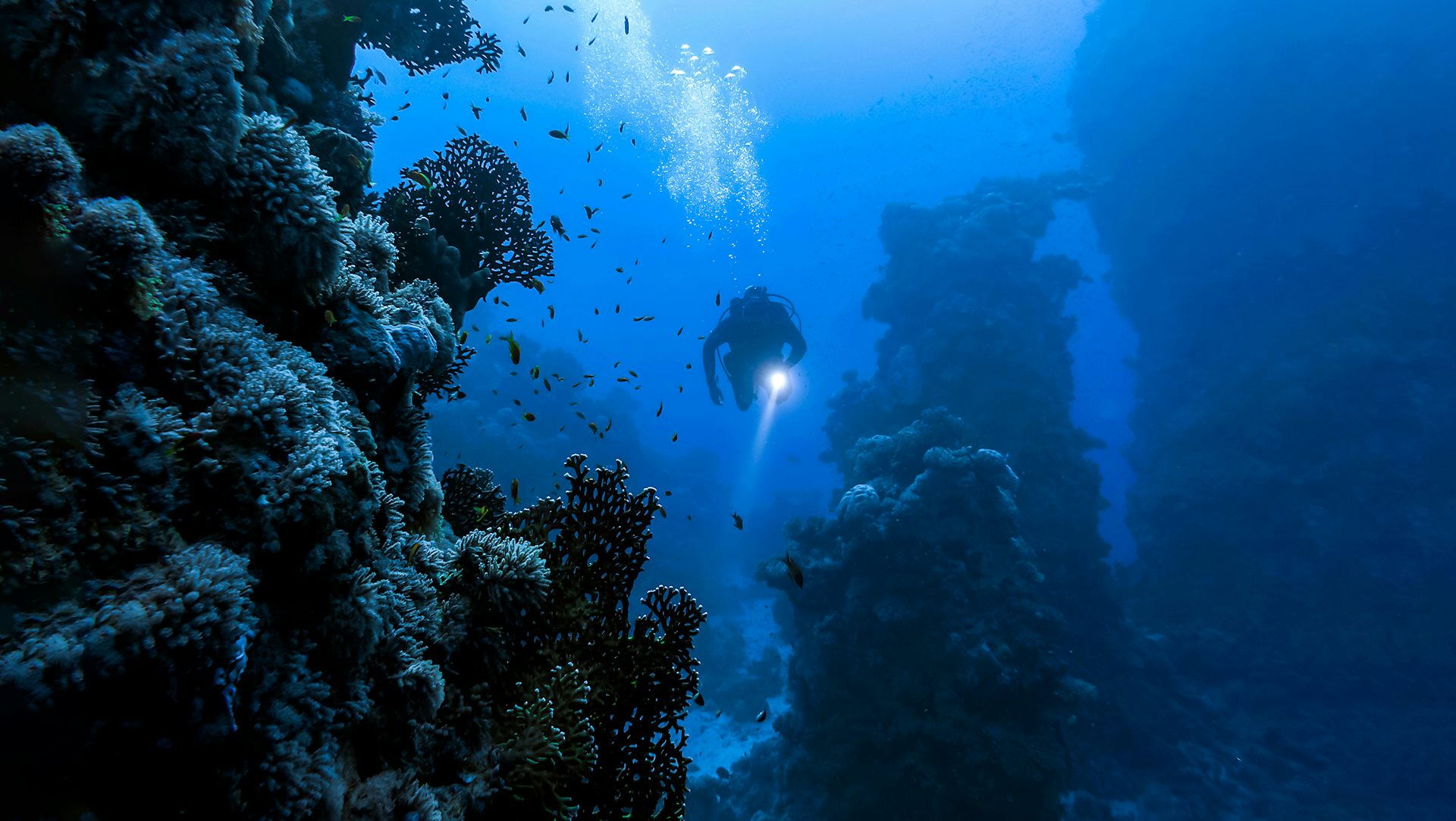 Deep sea landscapes are a new frontier of human exploration – here’s what we may find