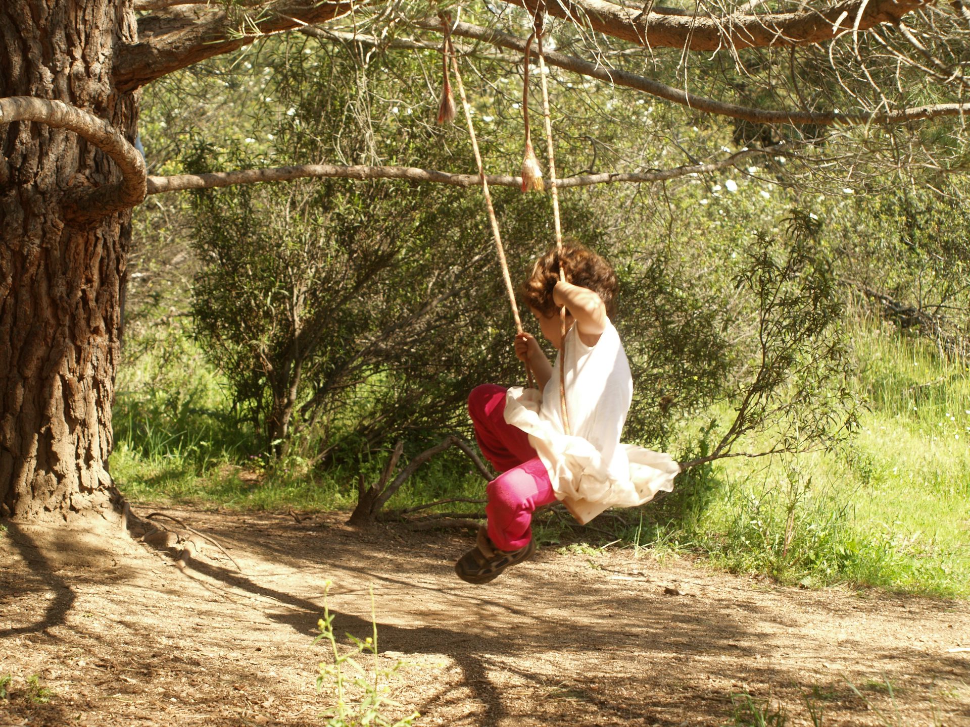 file 20260212 64 ksqv4y.JPG?ixlib=rb 4.1