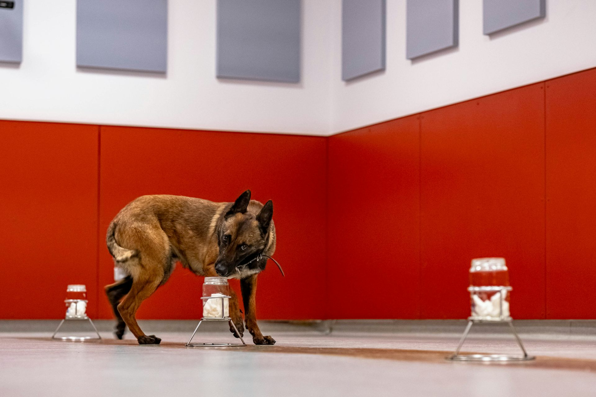 file 20260212 56 3pauoe.jpg?ixlib=rb 4.1