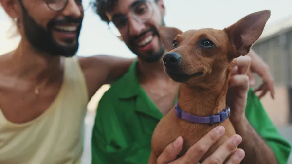 Focus on a small dog, held by a young gay couple