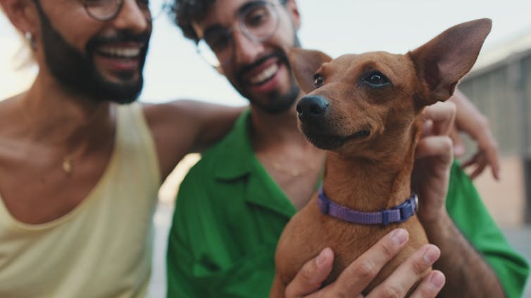 Focus on a small dog, held by a young gay couple
