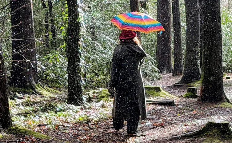 A person walking in the rain in woods, holding a multicoloured umbrella.