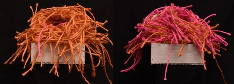 two bird nests, one made of orange string, another made using pink and orange string.