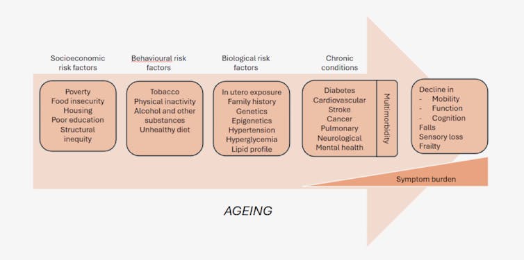 '¡Es una enfermedad crónica, estúpido!' El desafío central que enfrenta la atención de salud 3 Diagrama de determinantes de enfermedades crónicas.