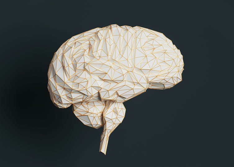 Modelo de cerebro blanco y dorado.