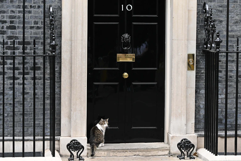 Larry the cat outside 10 Downing Street