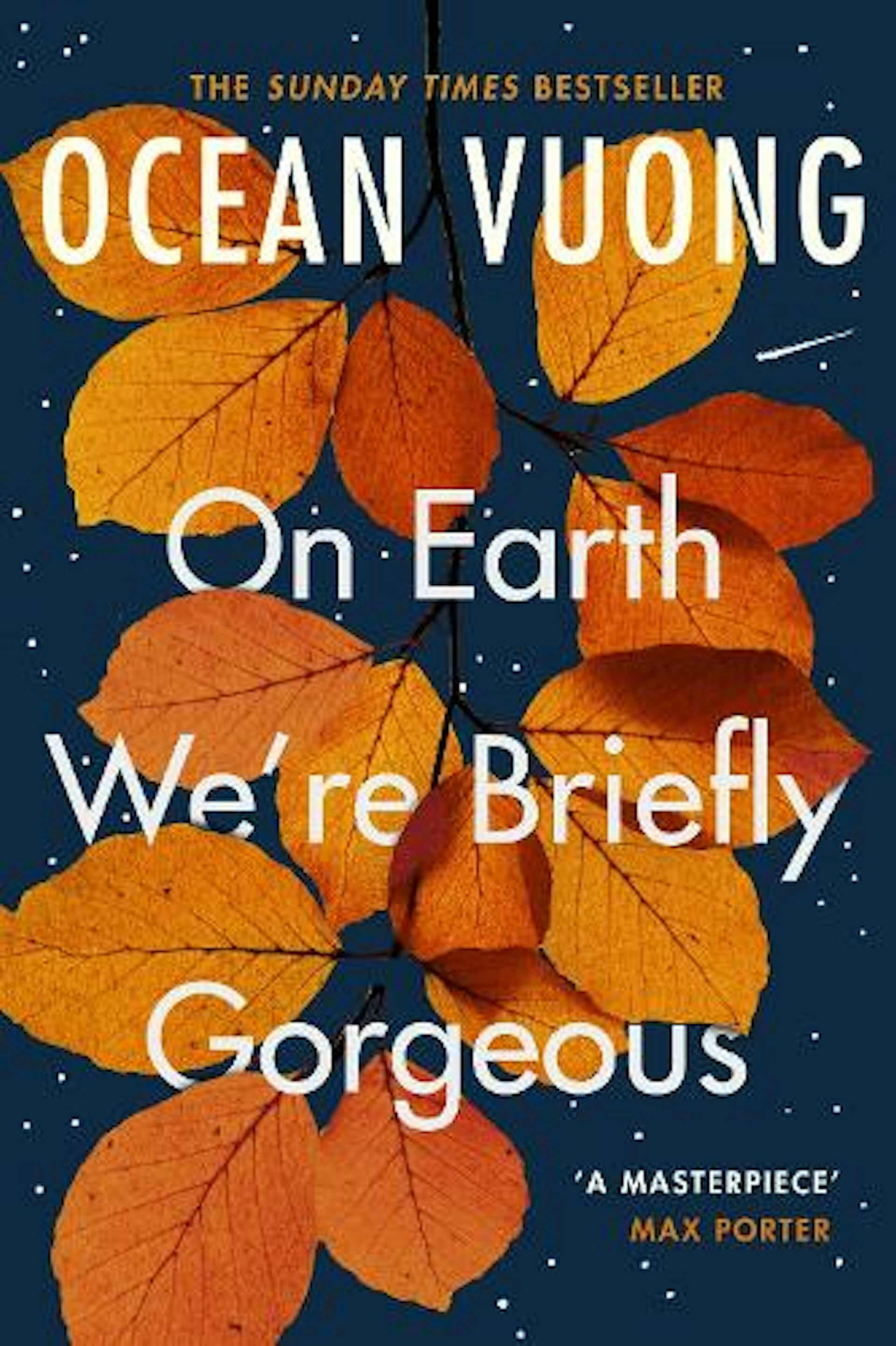 Book jacket for On Earth We’re Briefly Gorgeous by Ocean Vuong