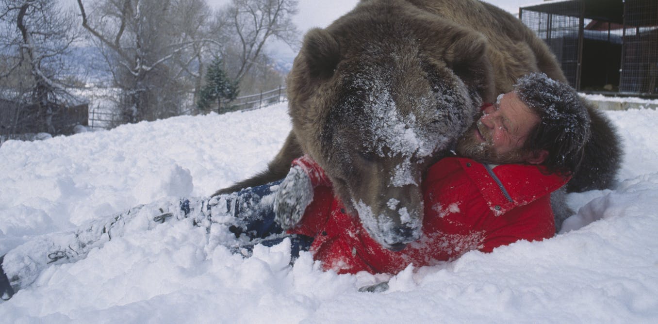 Will Animals Have a Place in Hollywood’s Future? Will Animals Have a Place in Hollywood’s Future?