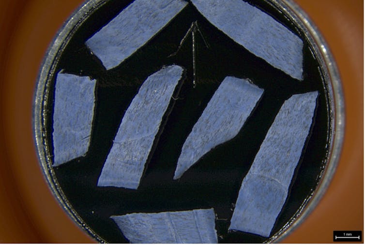 Boîte de Petri contenant des fragments de matériau violet, visibles sur fond noir.