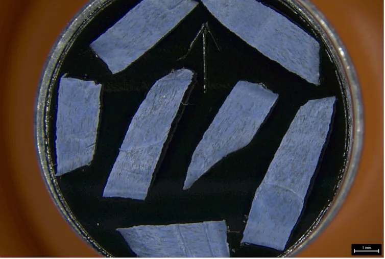 Petri dish with shards of violet material visible on a black background.