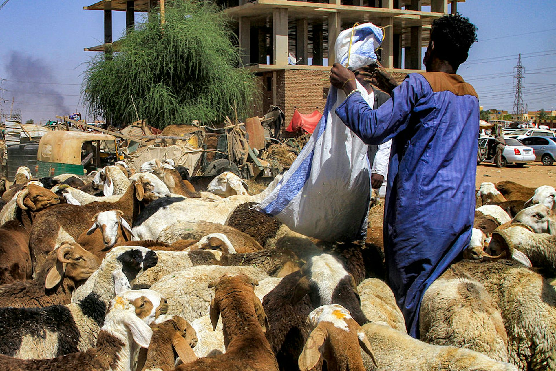 Sudan: how warring factions gained influence in the country’s food system – and what it means for the current conflict