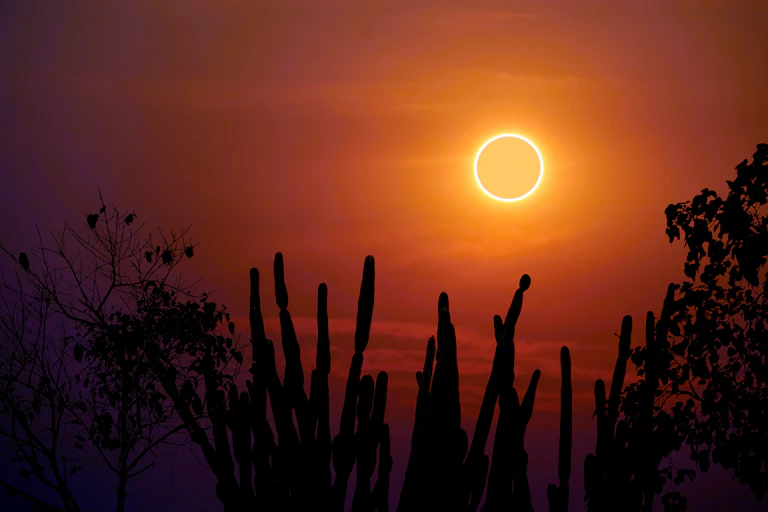 A solar eclipse, as seen from a desert.
