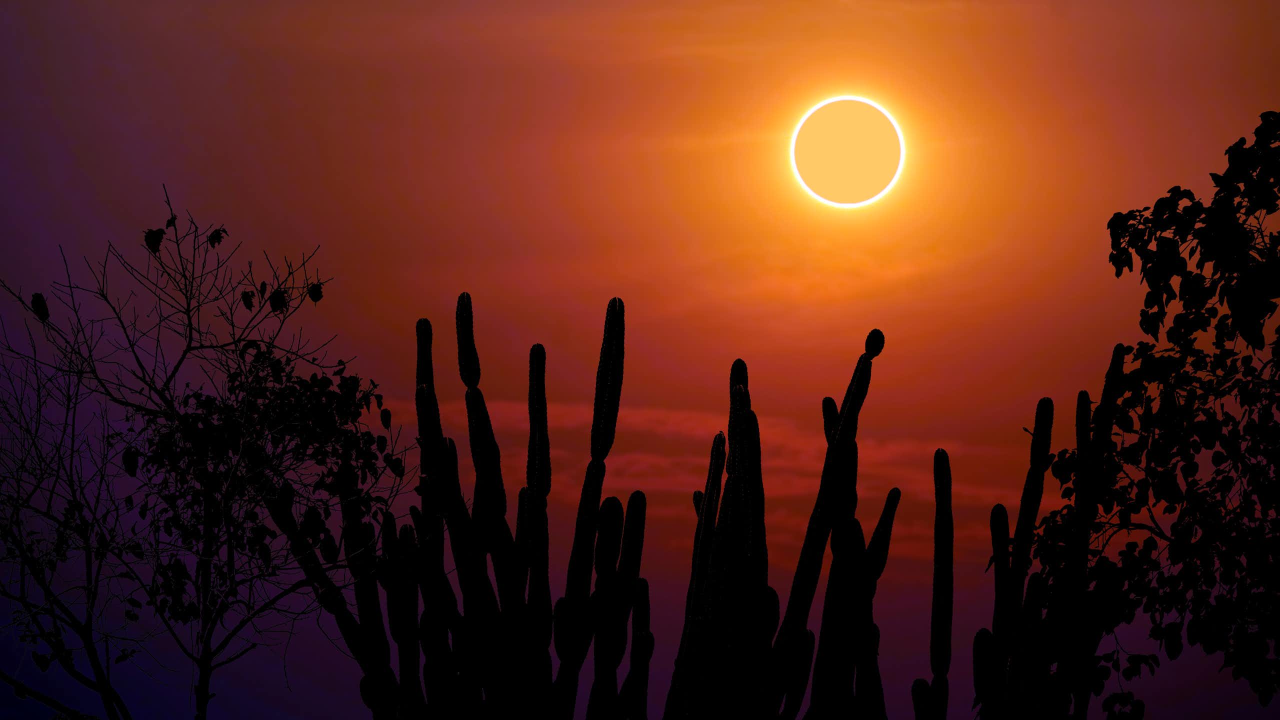 A solar eclipse, as seen from a desert.