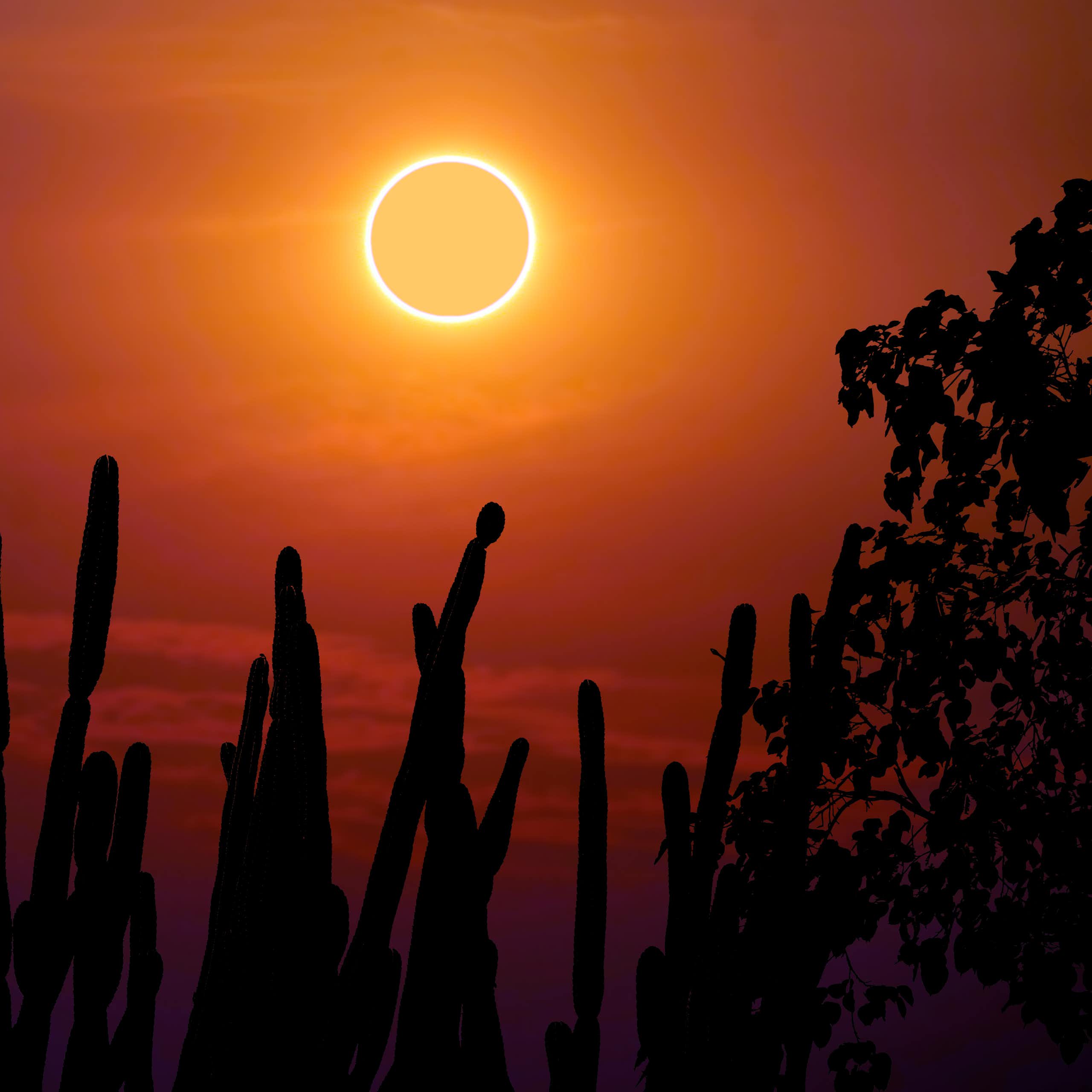 A solar eclipse, as seen from a desert.