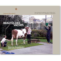 Why cow attractiveness is not only an issue of genetics 1 file 20260216 56 2xv7cn.jpg?ixlib=rb 4.1