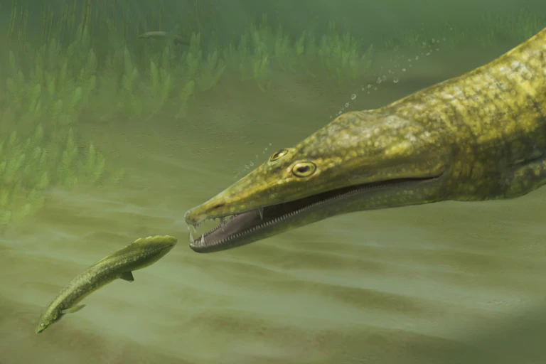 Two green amphibians with long bodies and pointy snouts swimming among seagrass and fish.