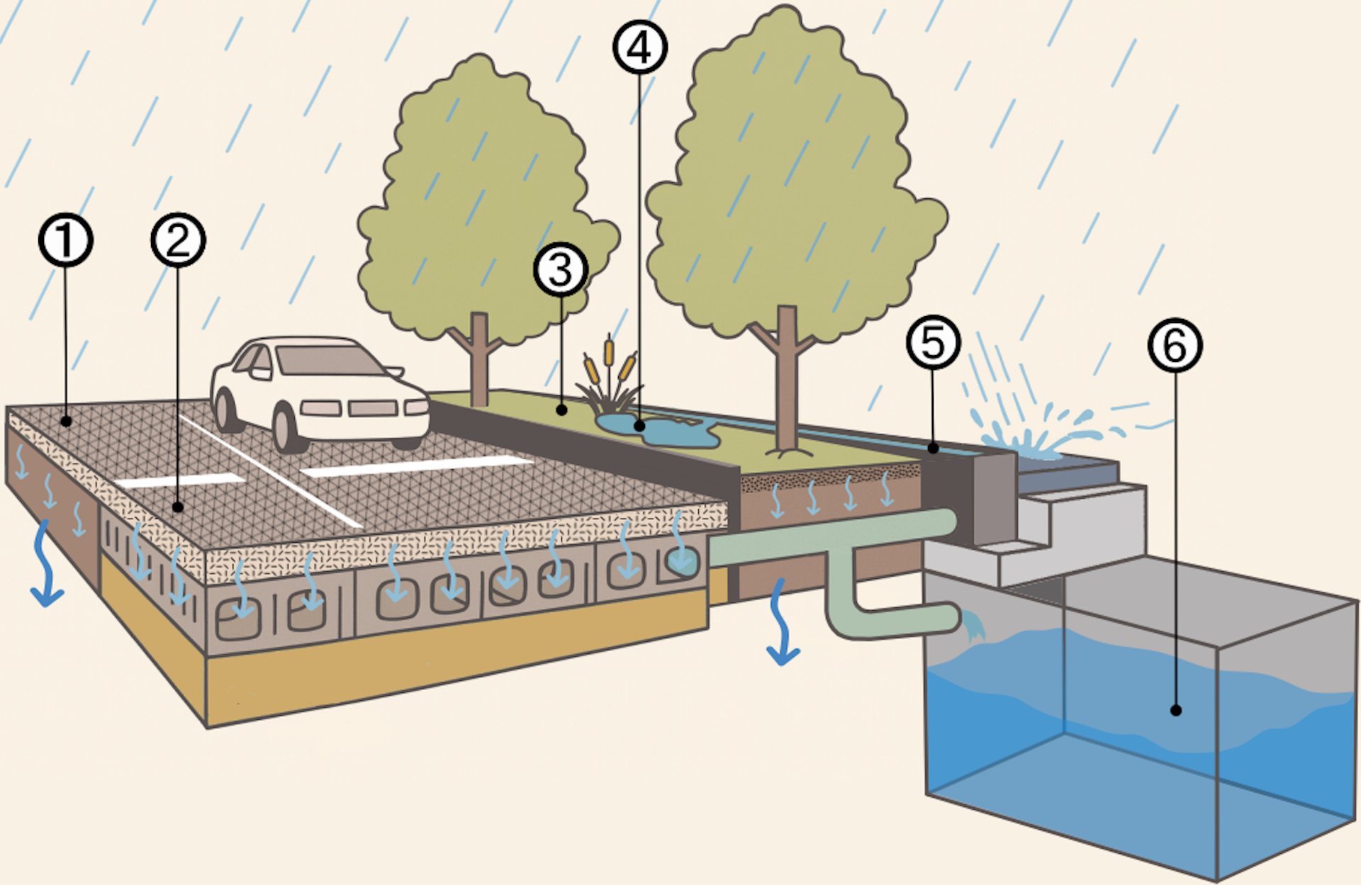 Una ilustración que muestra diferentes técnicas para utilizar y almacenar agua de lluvia.