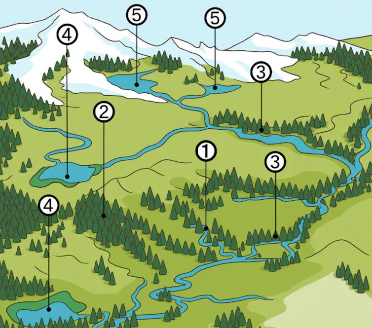 Ilustración que muestra las soluciones para aprovechar y controlar el agua de escorrentía en el campo