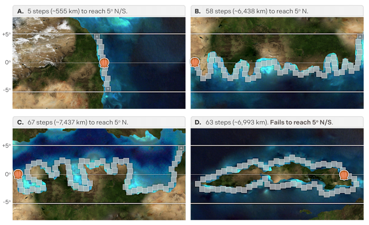 Annotated maps of various coastline shapes