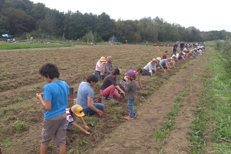 Champ avec des agriculteurs