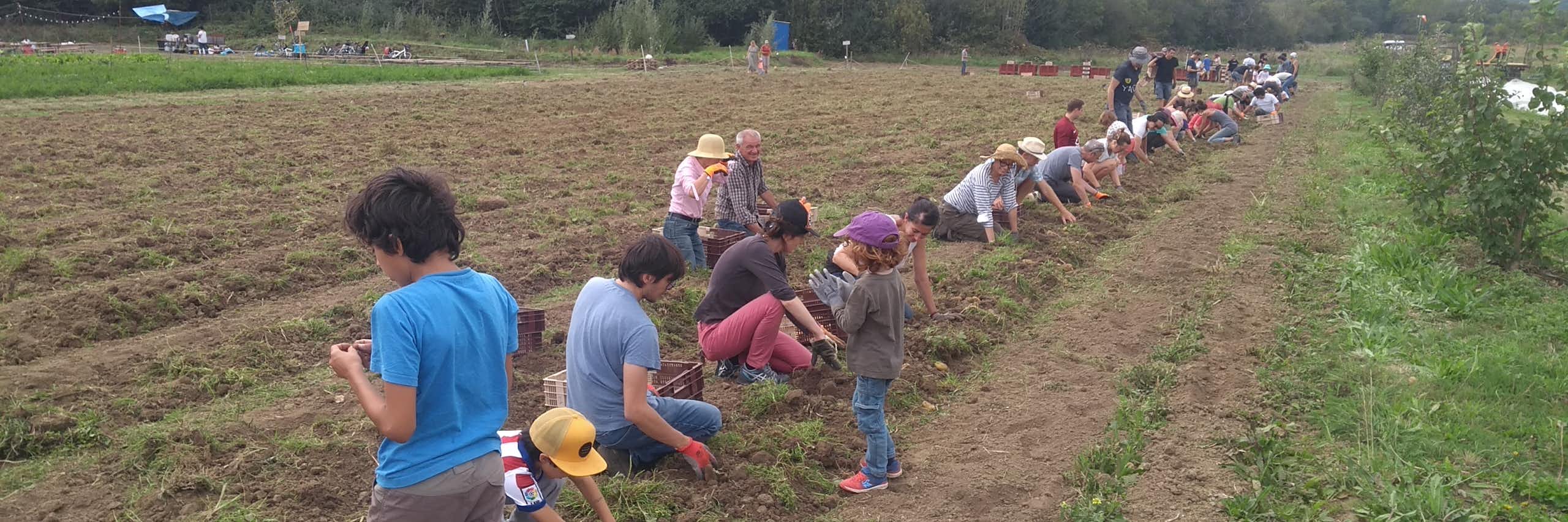 Champ avec des agriculteurs