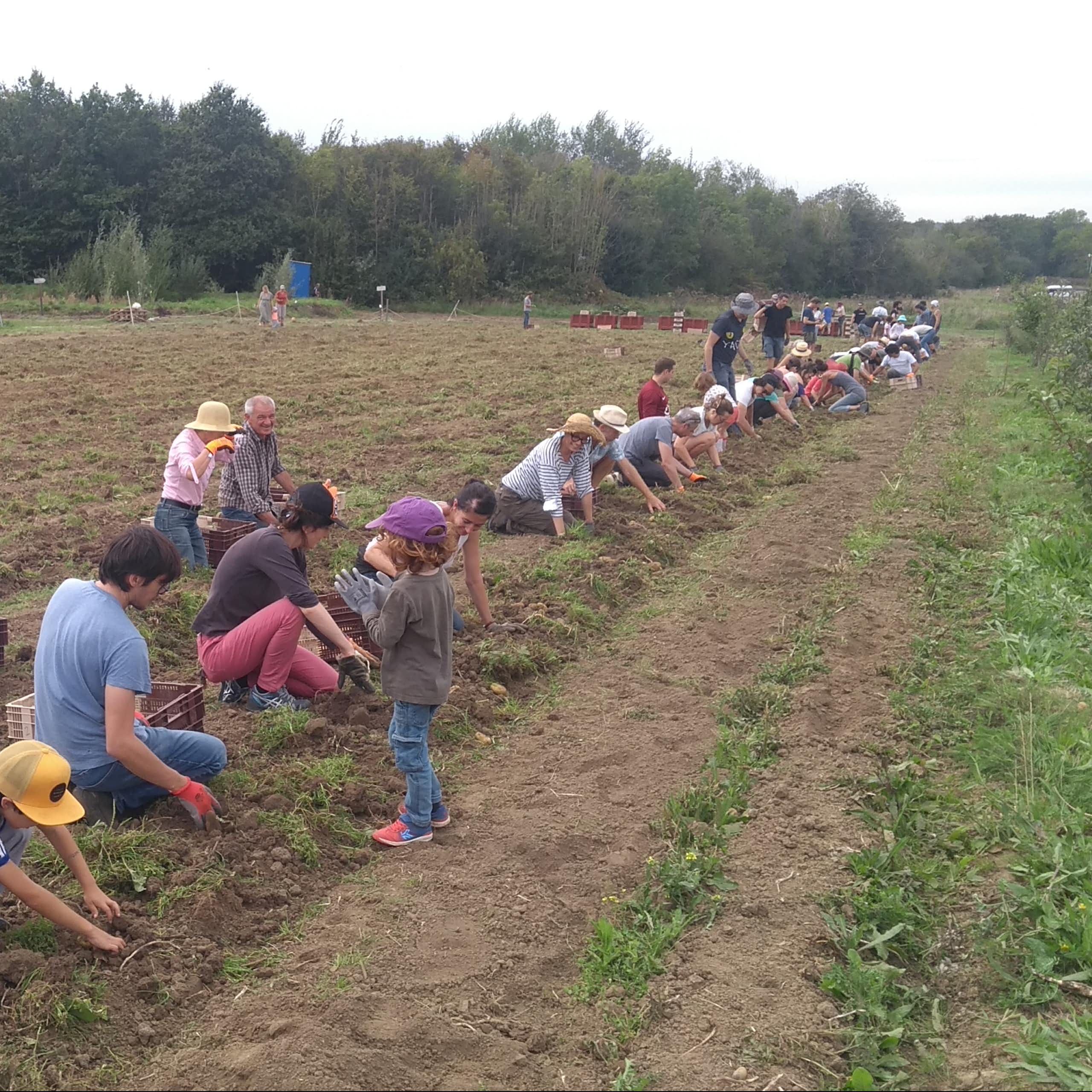 Champ avec des agriculteurs