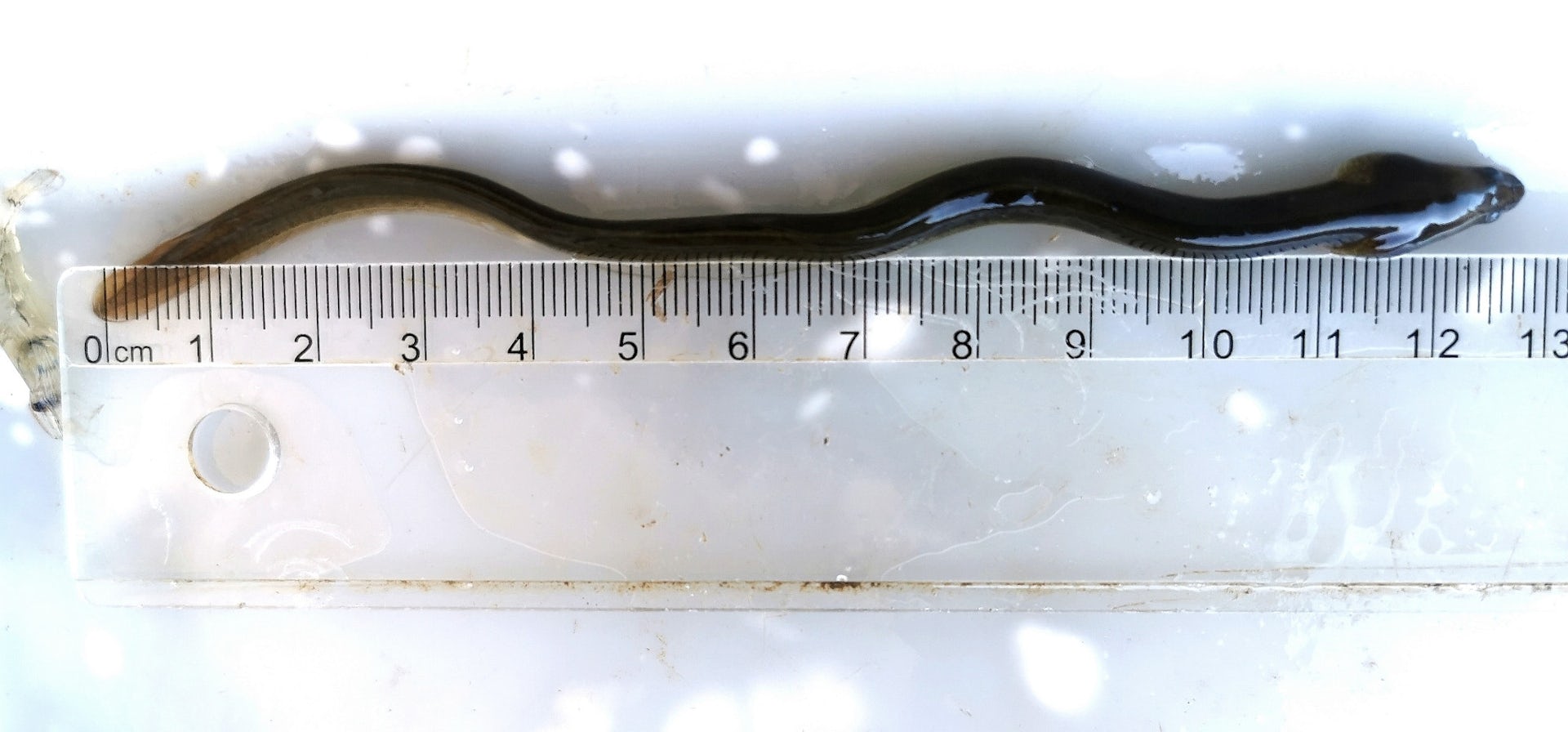 file 20260217 66 qv9nga.jpg?ixlib=rb 4.1