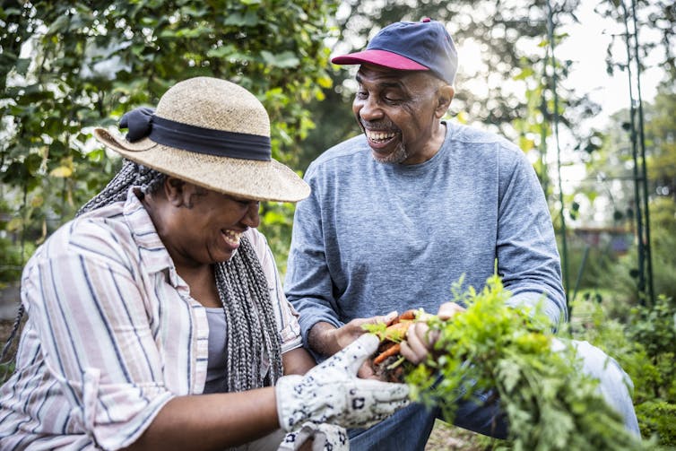 Two people picking vegetables in a garden, smiling