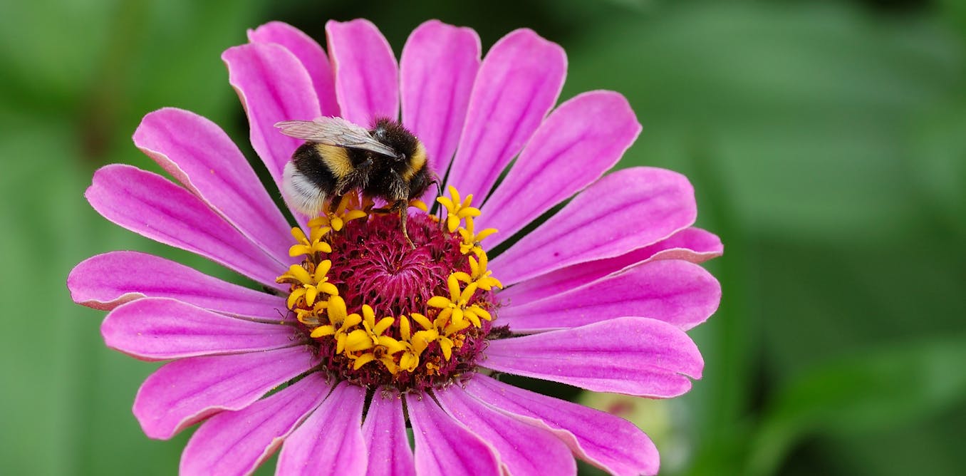 Anthology Examines Science Through Greek Myths