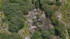 An aerial photo of a baobab tree lying on the ground, with the base of its trunk having been eaten away