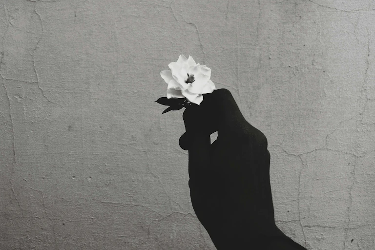 An illustration of a black hand holding up a delicate white flower.