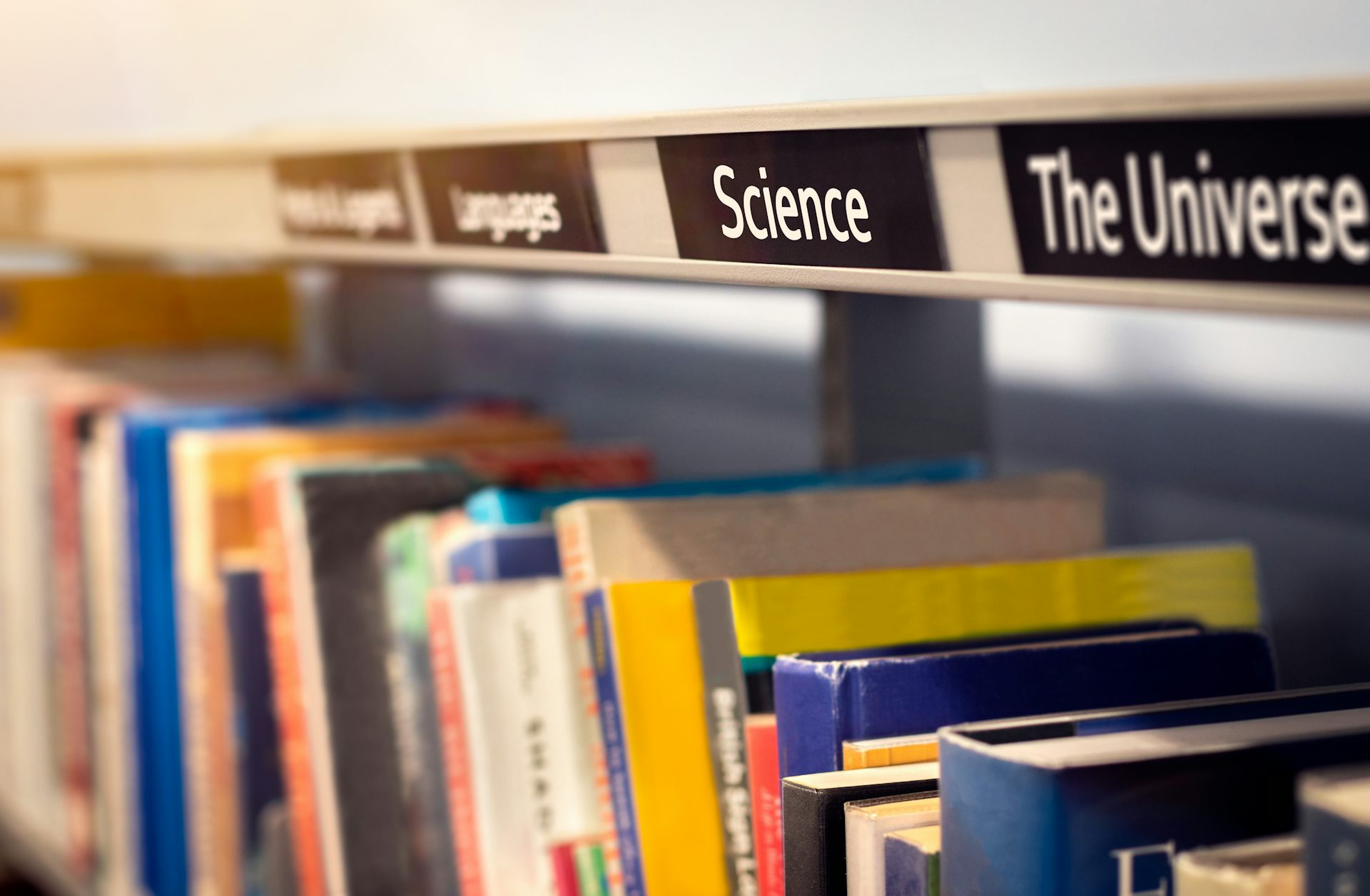 Books on library bookshelf
