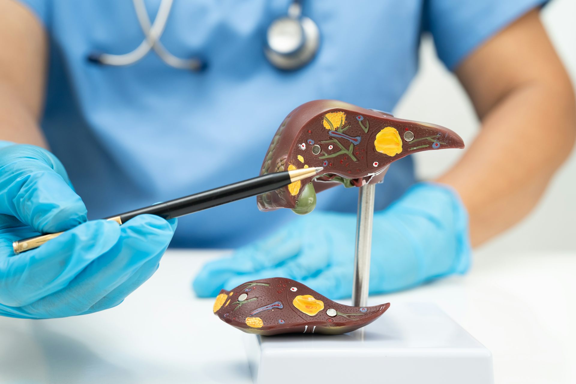 Una persona vestida de metge davant d'un fetge de plàstic